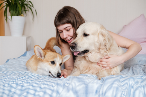 10 BENEFITS OF OWNING A PET