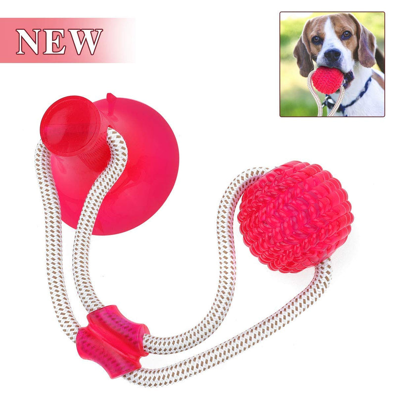 Suction Cup Rubber Ball Dog Chew Toys