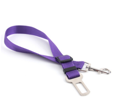 Fixed Strap Polyester Strap Dog Leash