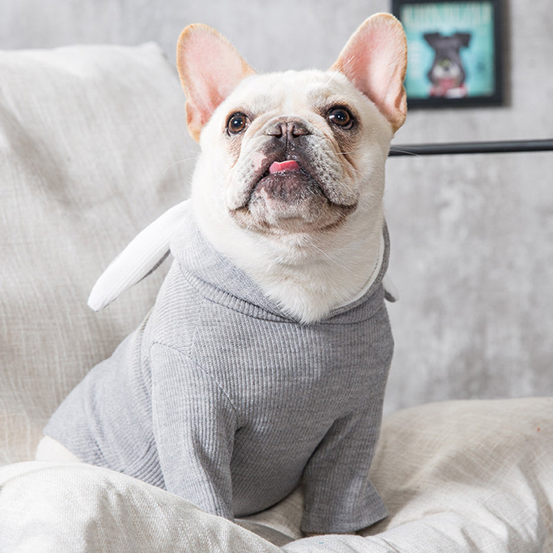 Comfortable Pet Spring And Autumn Clothes