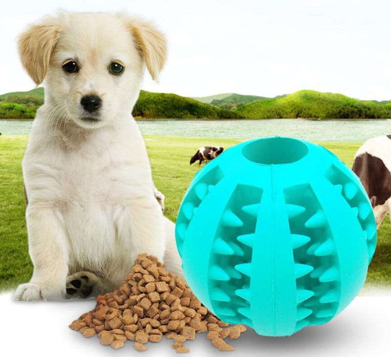 Cute Funny Rubber Dog Ball Toy