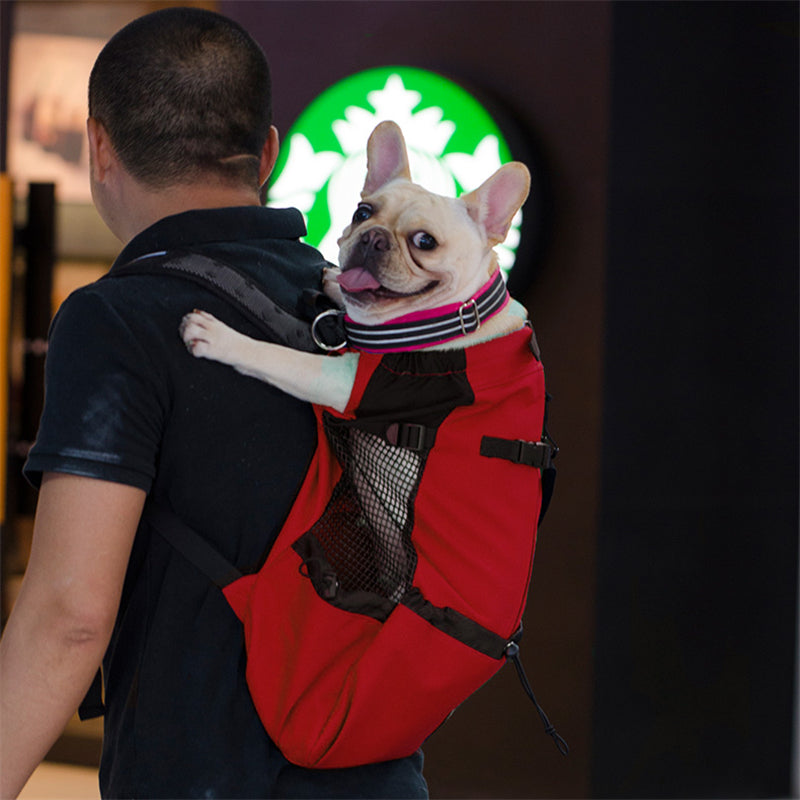 Double Shoulder Pet Carrier Backpack