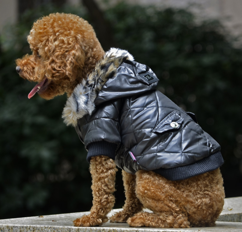 Cross-border fur collar coat