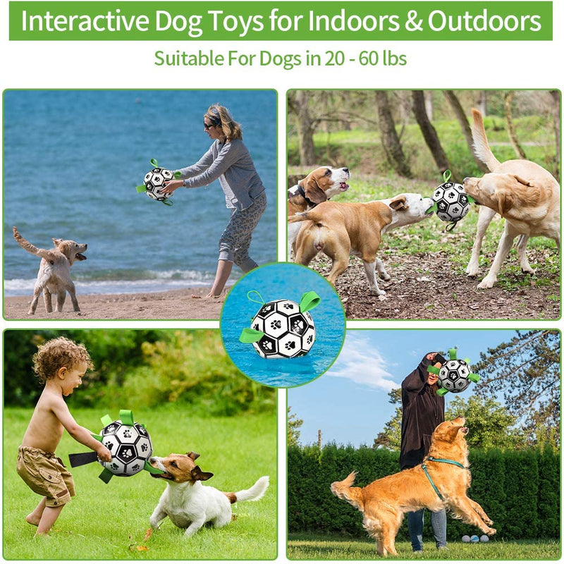 Dog Interactive Pet Football Toys with Grab