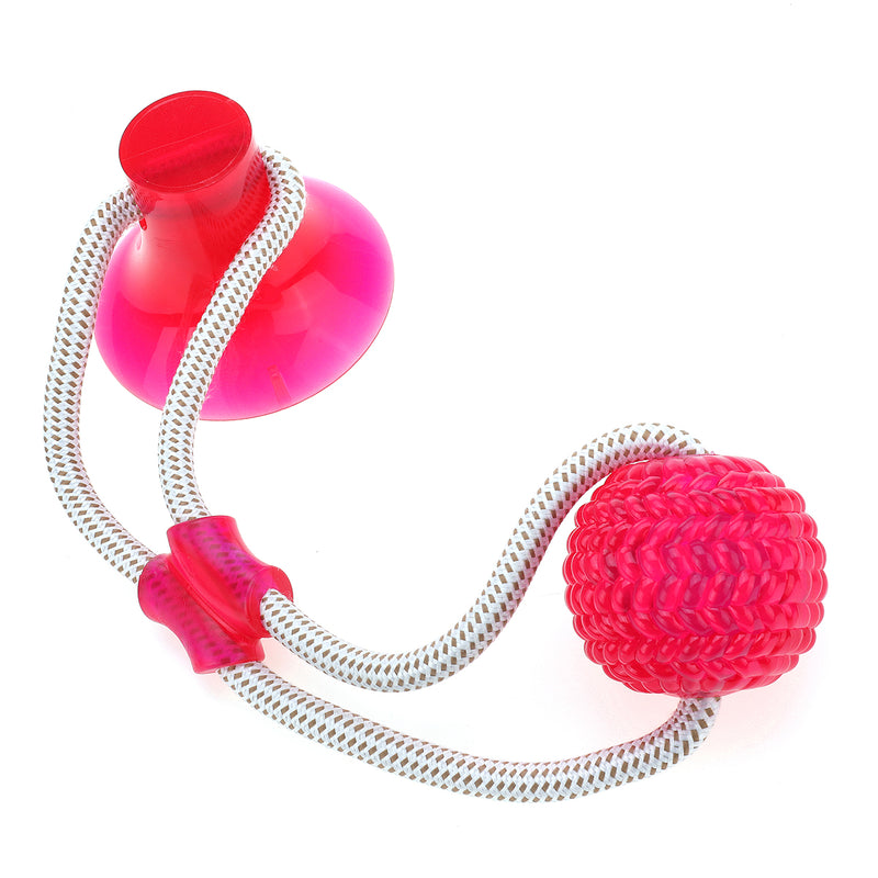 Suction Cup Rubber Ball Dog Chew Toys