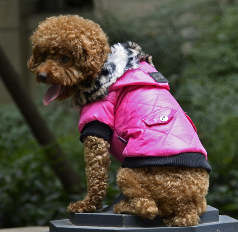 Cross-border fur collar coat