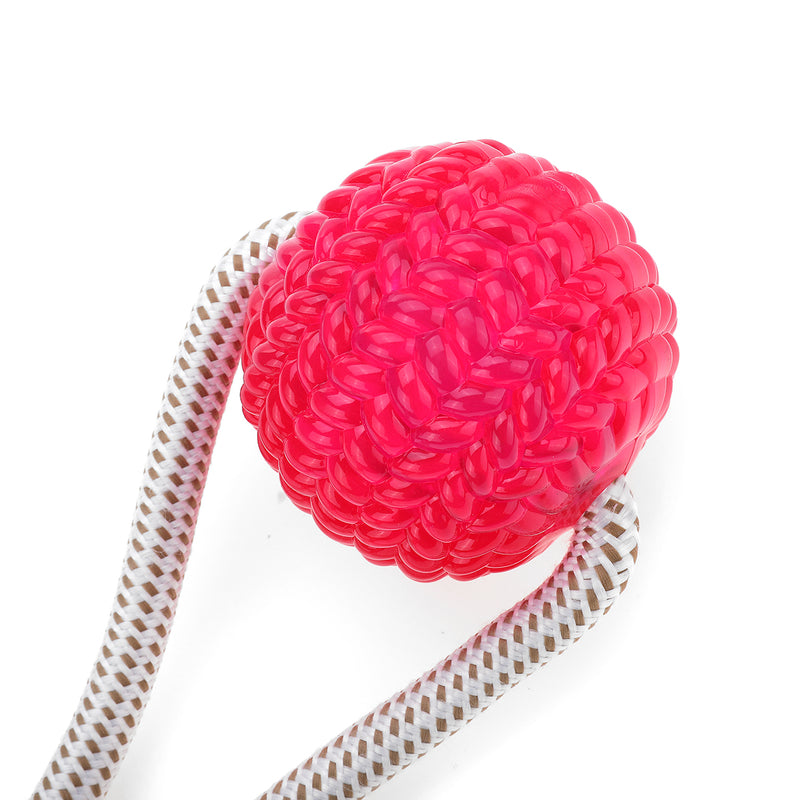 Suction Cup Rubber Ball Dog Chew Toys