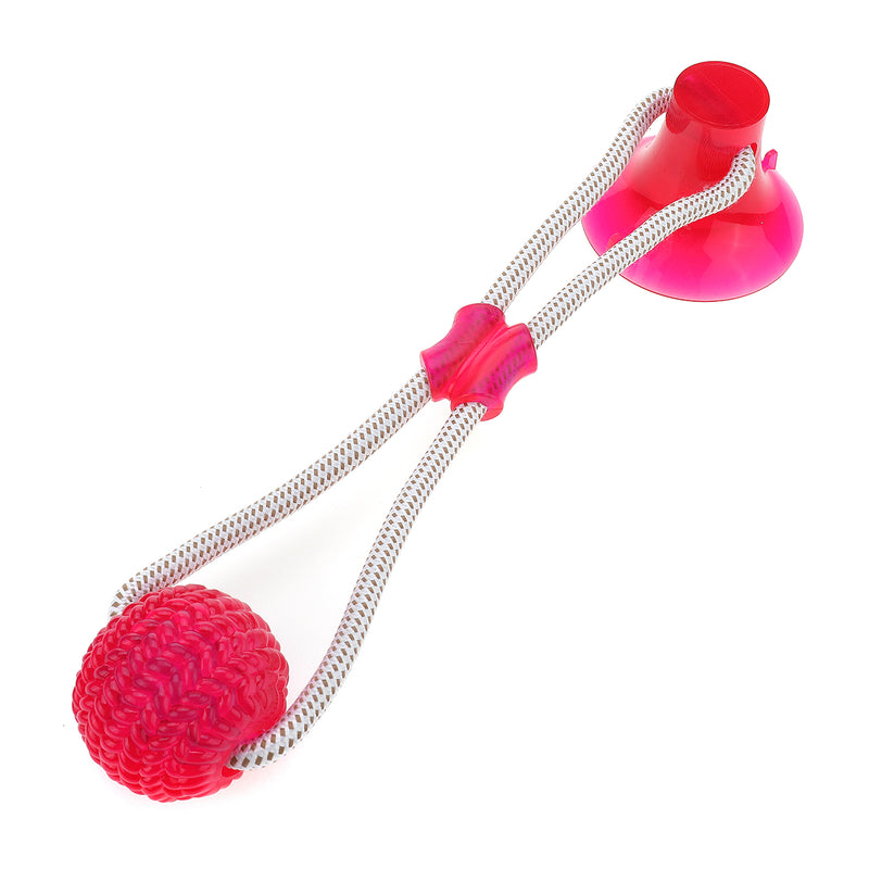 Suction Cup Rubber Ball Dog Chew Toys