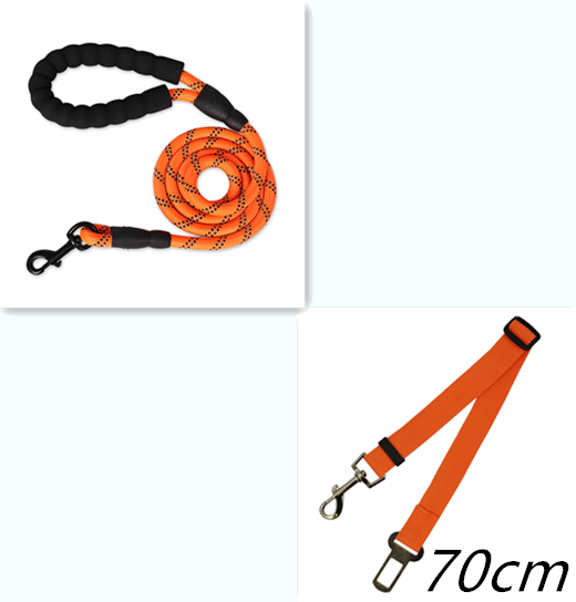 Reflective Dog Leash For Walking Training