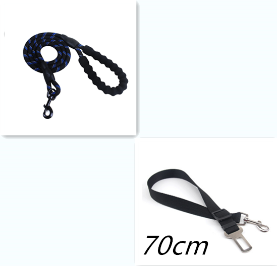 Reflective Dog Leash For Walking Training