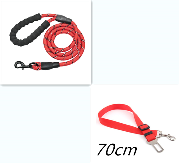 Reflective Dog Leash For Walking Training